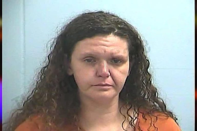 Leanne Elling mugshot – Dawson County , Georgia Leanne Elling