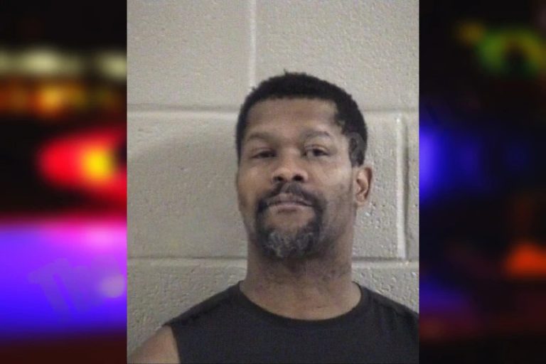 Leaunda Brown mugshot – Whitfield County , Georgia Leaunda Brown