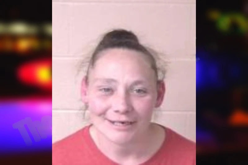 Leeann Lilly Mugshots