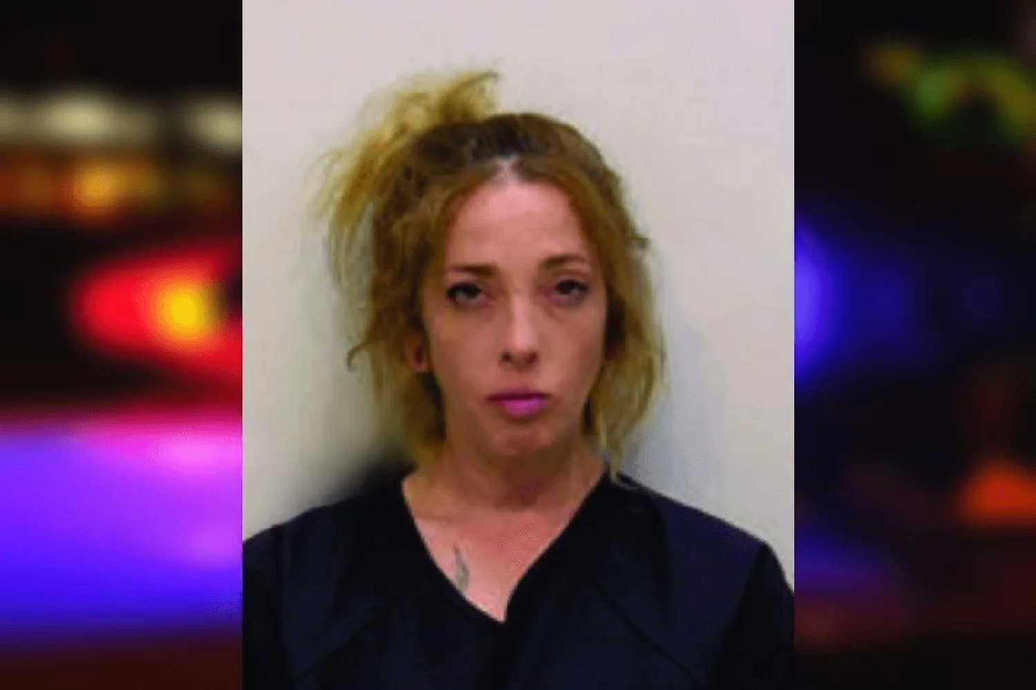 Leeanne Williams Mugshots