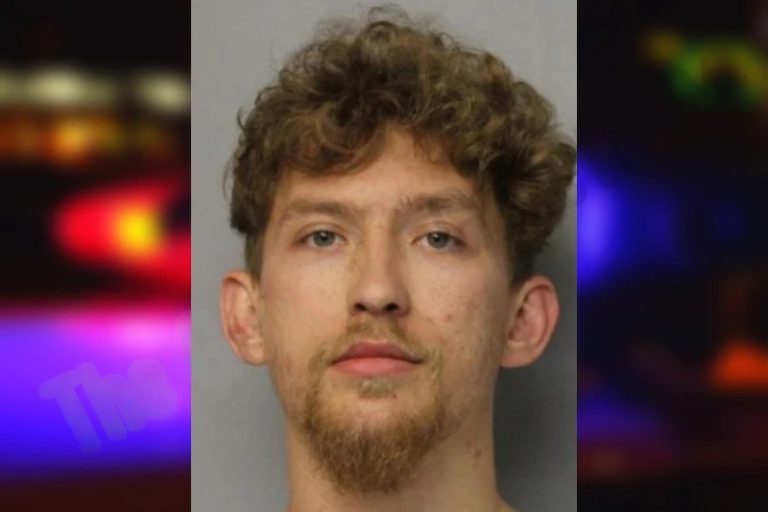 Leevi Grizzle mugshot – Hall County , Georgia Leevi Grizzle