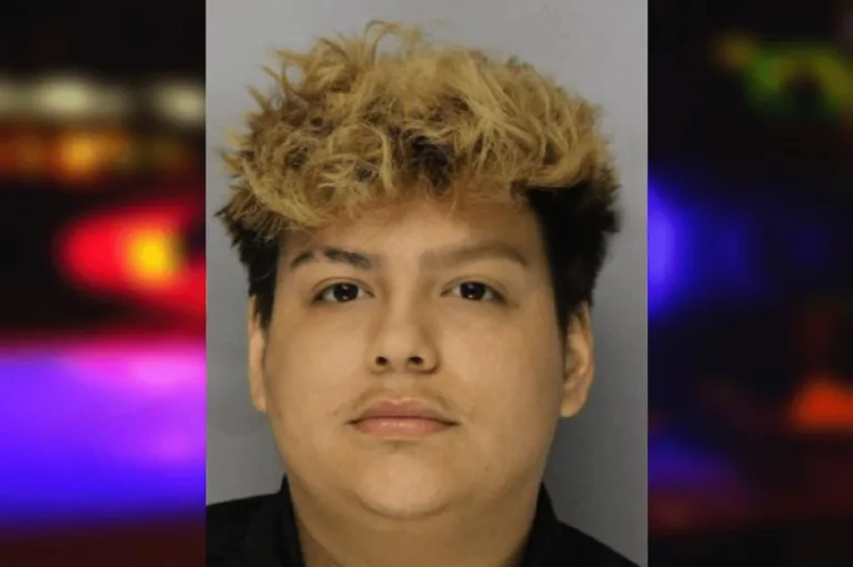 Leonel Hernandez mugshot – Hall County , Georgia Leonel Hernandez