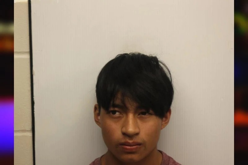 Leonide Gomez Mugshots