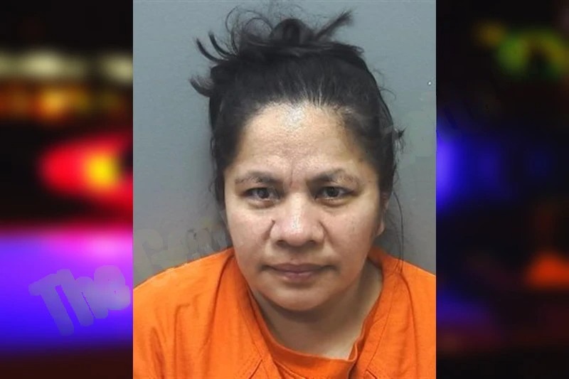 Lesli Mejia Mugshots