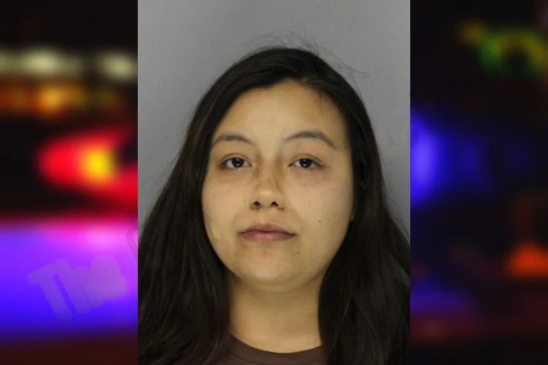 Leslie Contreras mugshot