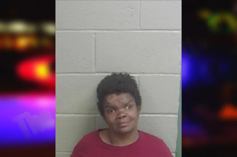 Leslie Davis Mugshots