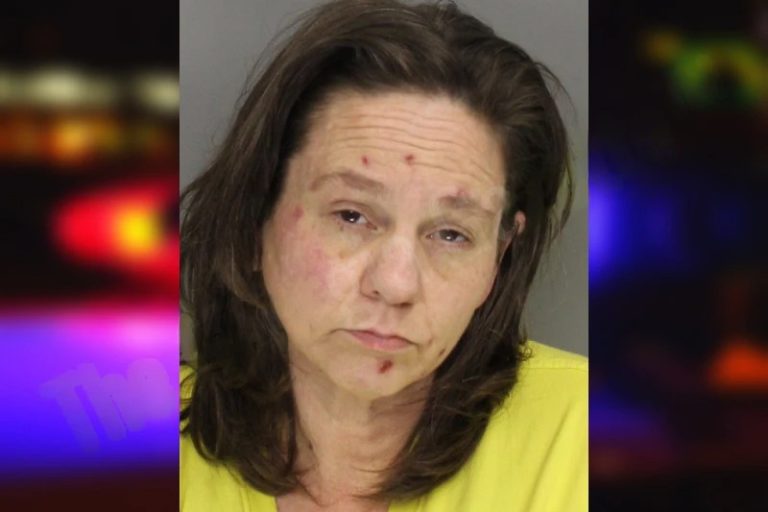 Leslie Feltman mugshot – Cobb County , Georgia Leslie Feltman