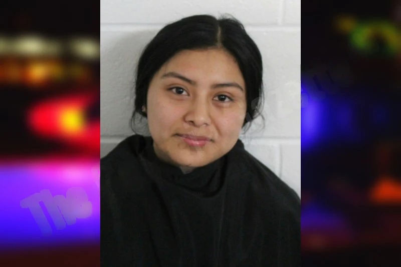 Leslie Perez-Martinez Mugshots