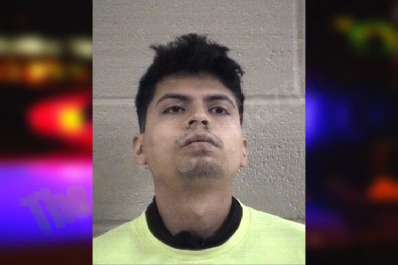 Ligne Duran mugshot – Whitfield County , Georgia Ligne Duran mugshot