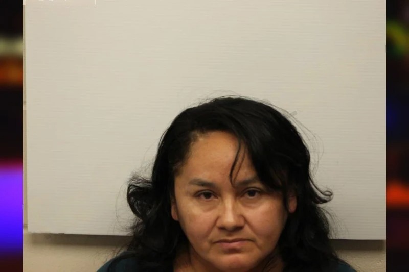 Lilian Santos Ramos Mugshots