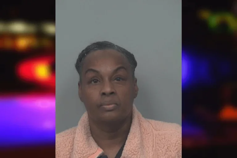 Lillian Allen mugshot – Whitfield County , Georgia Lillian Allen