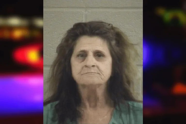 Lillye Reddin mugshot – Gwinnett County , Georgia Lillye Reddin