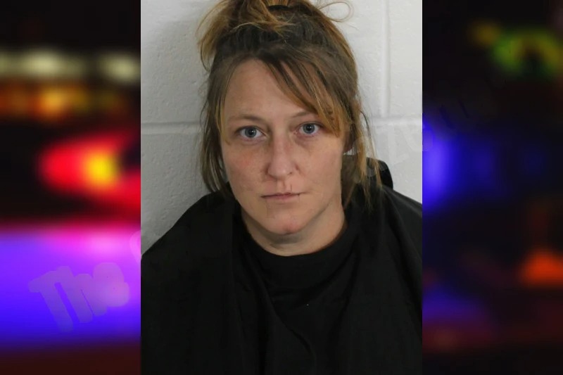 Linda Laney Mugshots