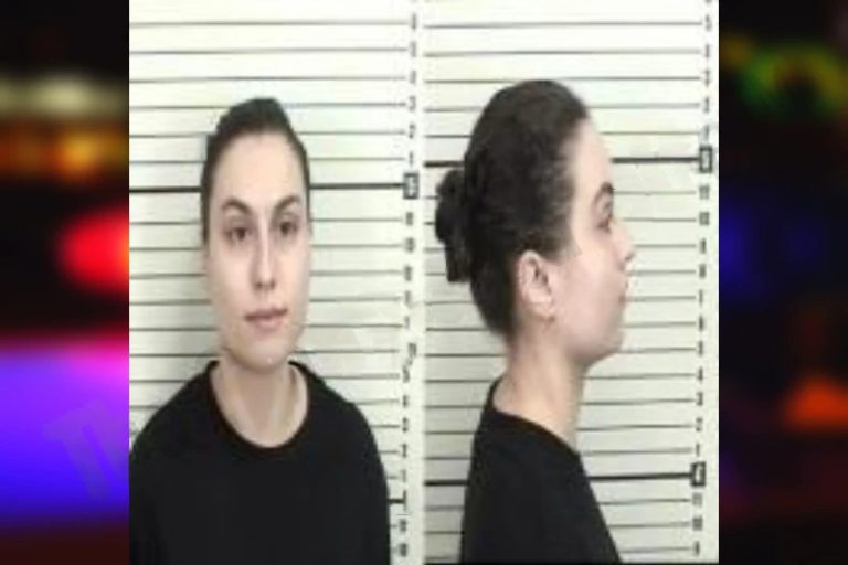 Linda McCormack mugshot – Camden County , Georgia Linda McCormack