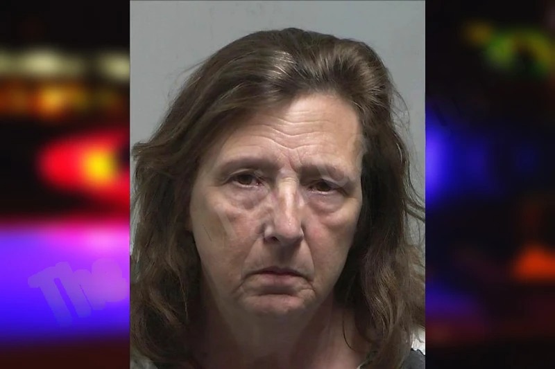Linda McGee Mugshots
