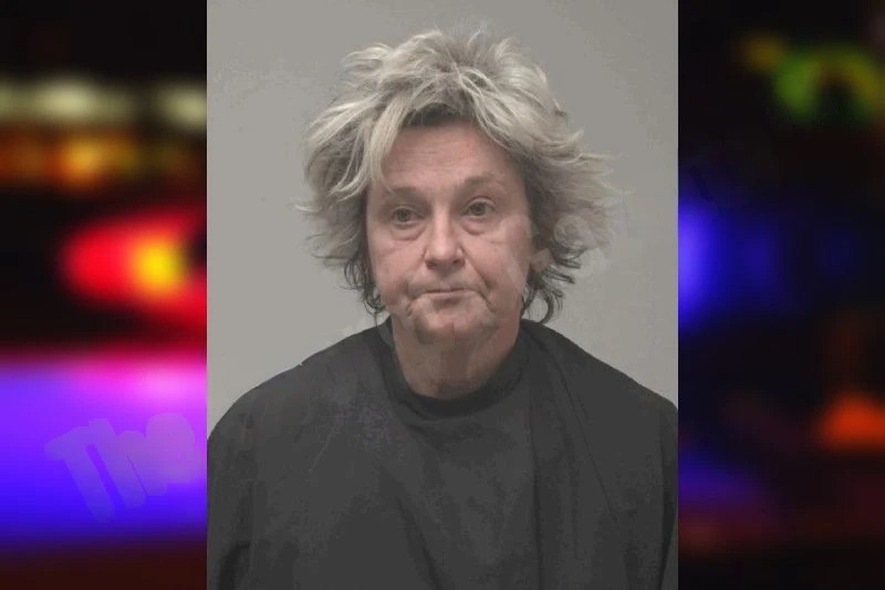 Linda Petry Mugshots