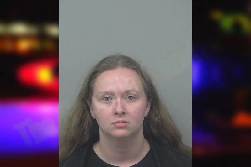 Lindsey Correa mugshot – Gwinnett County , Georgia Lindsey Correa mugshot