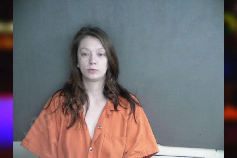 Lindsey Fowler mugshot – Twiggs County , Georgia Lindsey Fowler