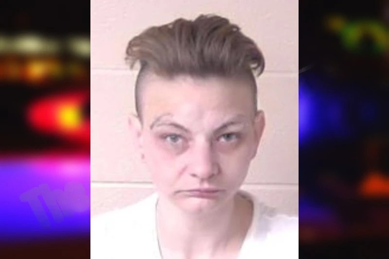 Lindsey Sayre Mugshots