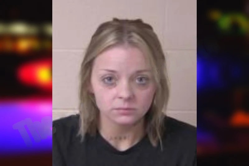 Lindsey Wallin Mugshots