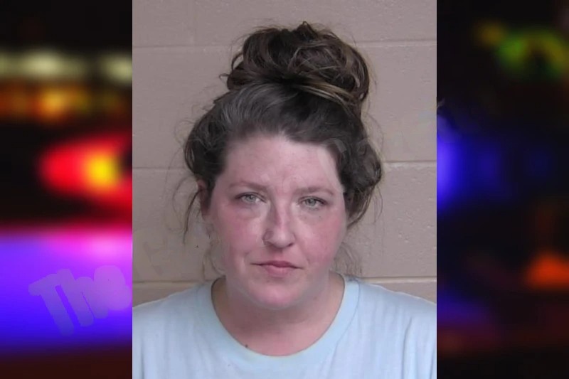 Lindsy Bourne mugshot – Walker County , Georgia Lindsy Bourne mugshot