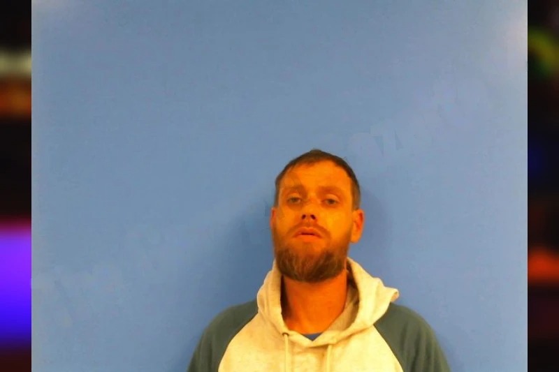 Linzie Downey Mugshots