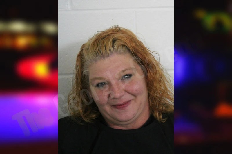 Lisa Atkisson Mugshots