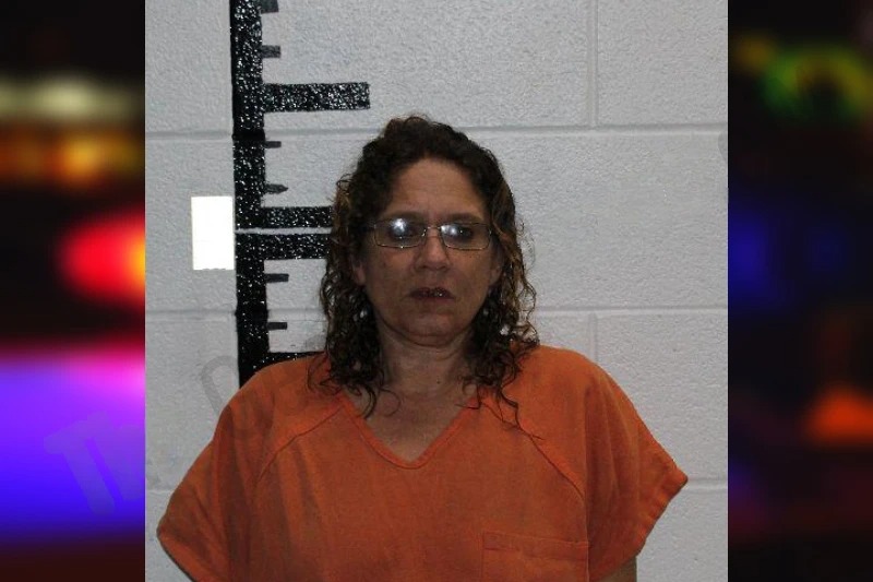 Lisa Chitwood mugshot – Murray County , Georgia Lisa Chitwood mugshot