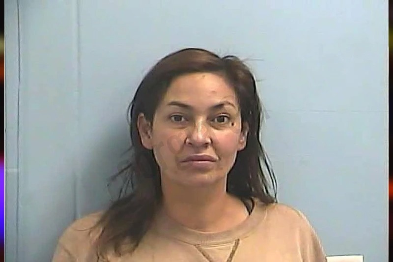 Lisa Jeanetta Mugshots