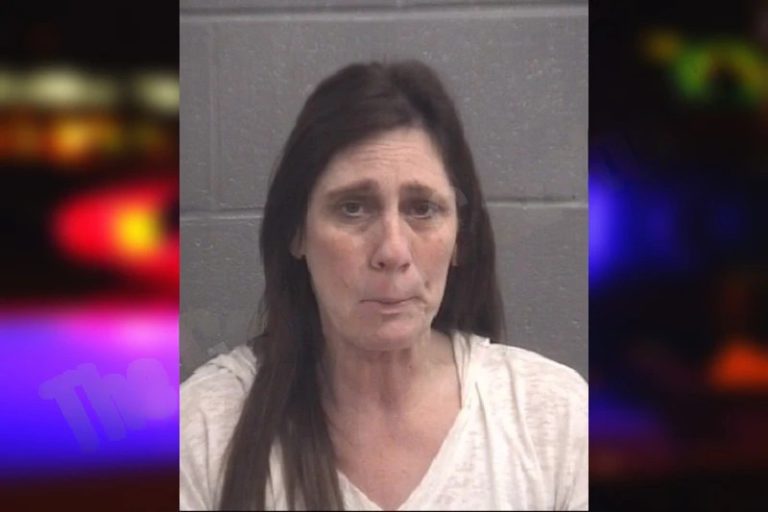 Lisa Johannsen mugshot – Spalding County , Georgia Lisa Johannsen