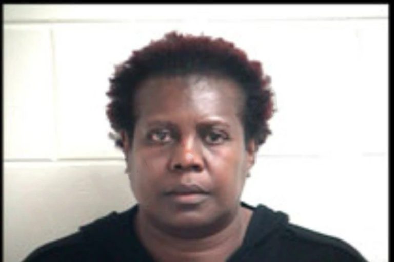 Lisa Maize mugshot – Henry County , Georgia Lisa Maize