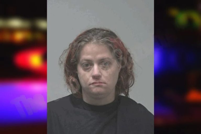 Lisa Tucker mugshot – Coweta County , Georgia Lisa Tucker