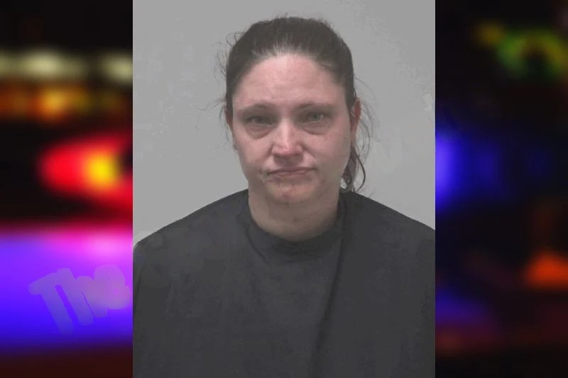 Lisa Woodley Mugshots