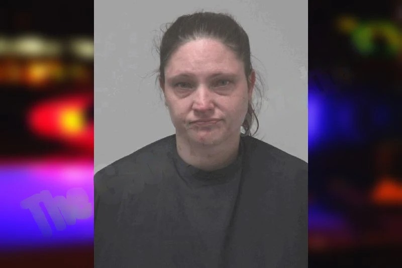 Lisa Woodley Mugshots