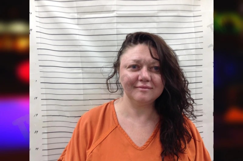 Liudmila Kuziv Mugshots