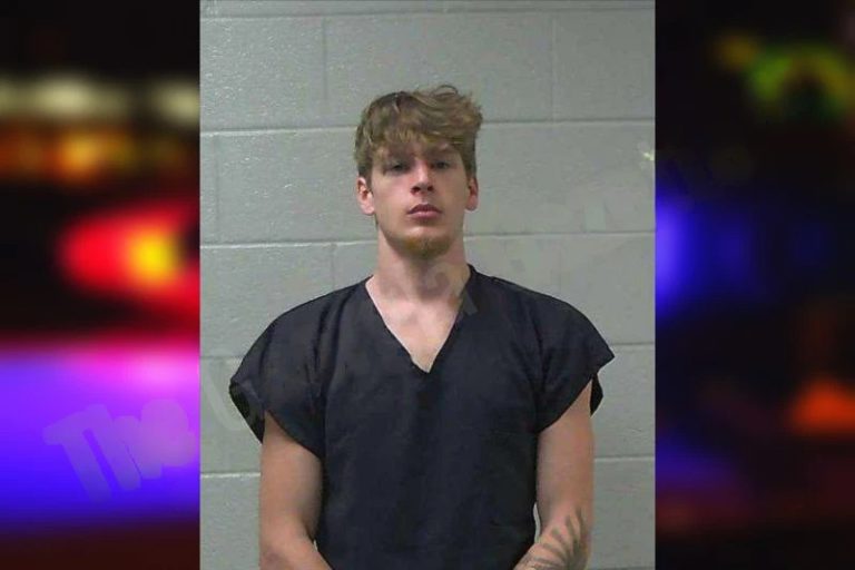 Logan Sanford mugshot – Gilmer County , Georgia Logan Sanford