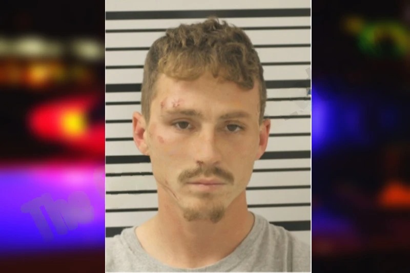 Logan Wilkes Mugshots