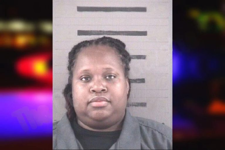 Lolita King mugshot – Dougherty County , Georgia Lolita King