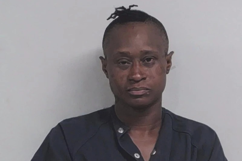 Lolla Brinson Mugshots