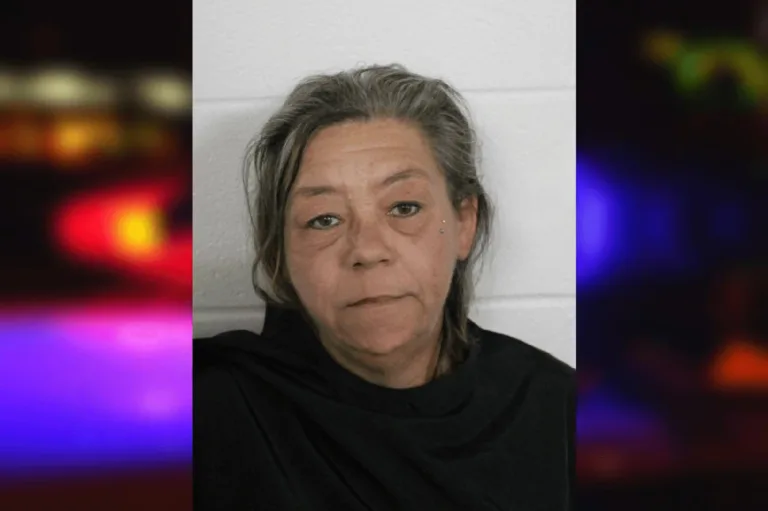 Lori Flores mugshot – Floyd County , Georgia Lori Flores