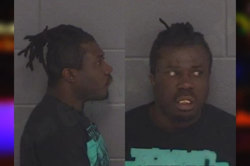 Loubenson Sylvestre mugshot