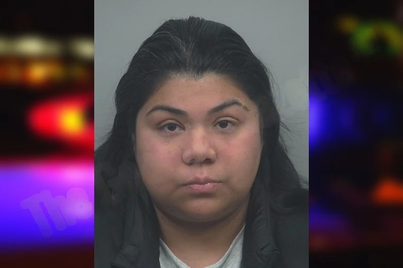 Lourdes Guardado Dubon mugshot – Gwinnett County , Georgia Lourdes Guardado Dubon mugshot