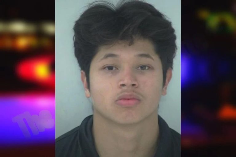 Luis Piedra mugshot – Fayette County , Georgia Luis Piedra