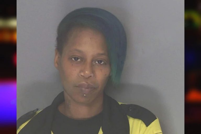 Lyakeia Hawes mugshot – Douglas County , Georgia Lyakeia Hawes