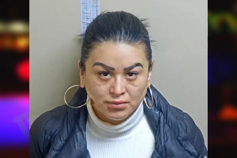 Ma Del Rosario Hernandez-Mendez Mugshots