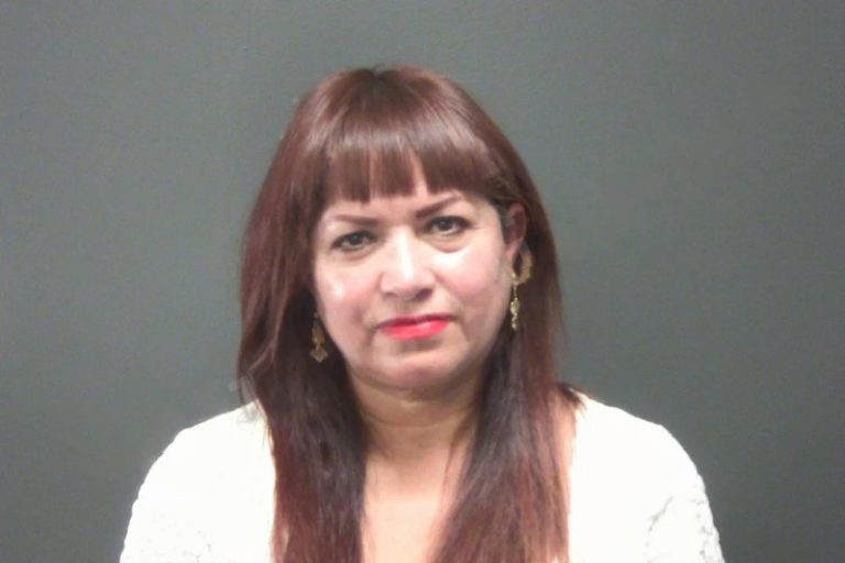 Ma Villafuerte mugshot – Cherokee County , Georgia Ma Villafuerte