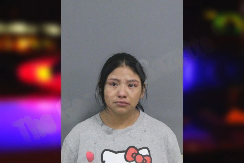 Madai Perez Mugshots