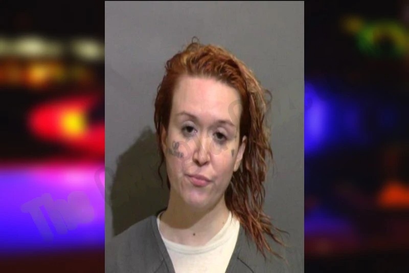 Madalyn Mitchell Mugshots