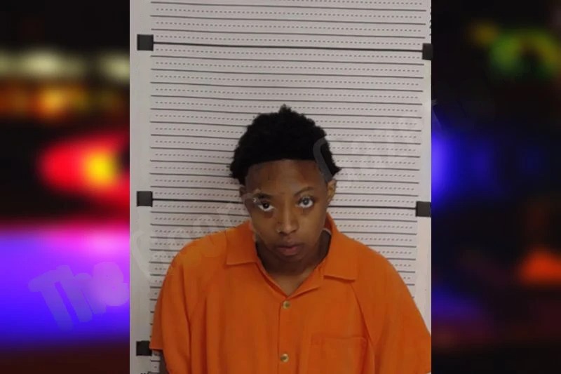 Madison Idigo Mugshots