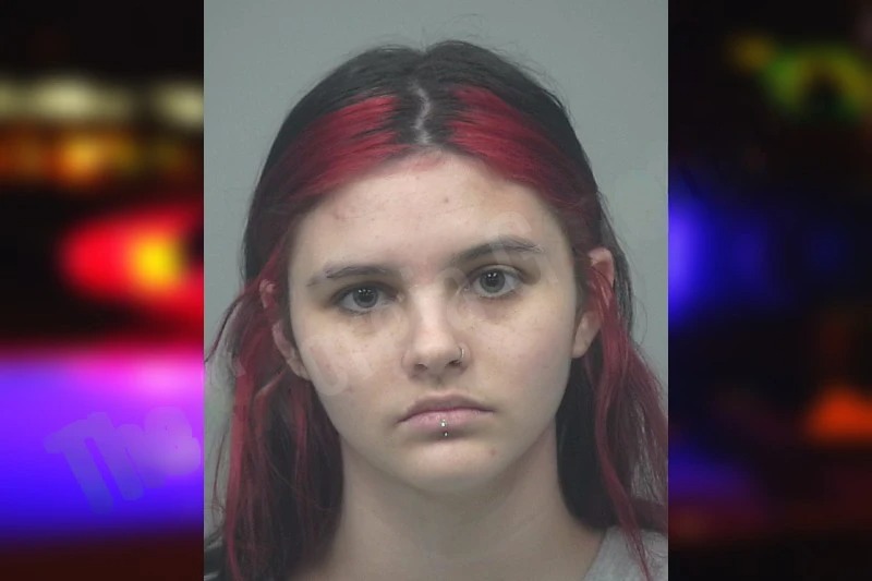 Madison Meehan mugshot